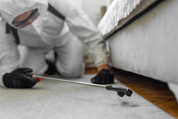 Professional Cockroach Control technician working in Bliss Corner, MA